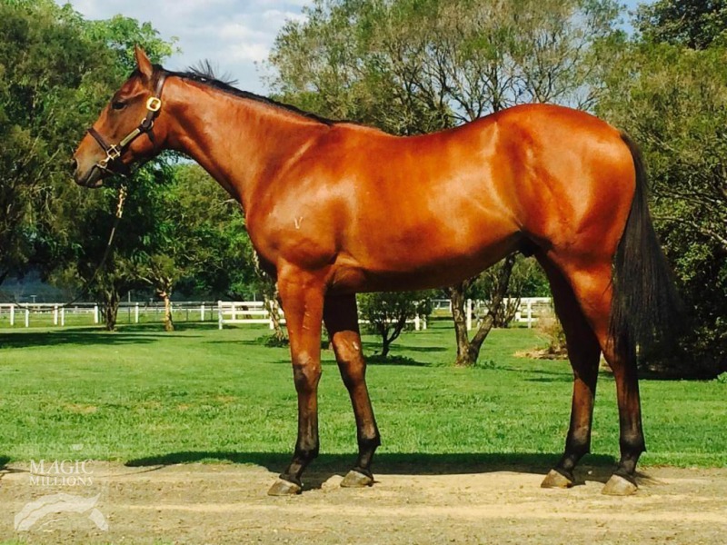 Military Machine (AUS) - photo 1