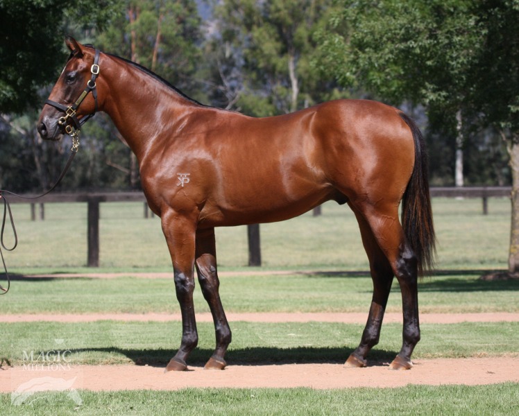 Sprinting To Win (AUS) - photo 1