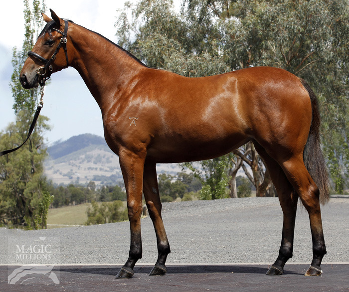 Danishki (AUS) - photo 1