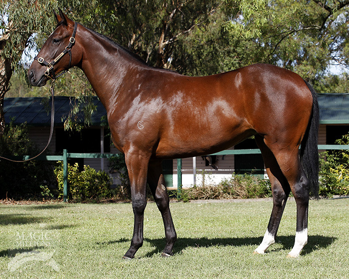 Smart Missile (AUS) / Miss Galileo (AUS) - photo 1