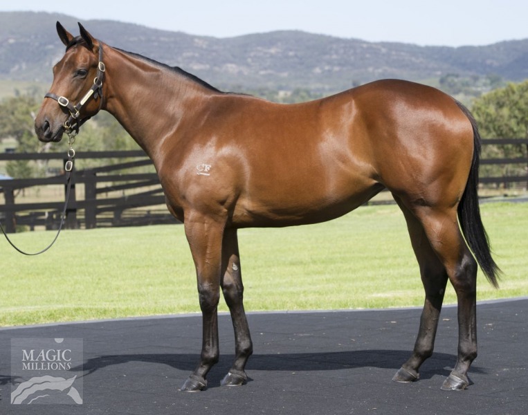 Missrock (AUS) - photo 1