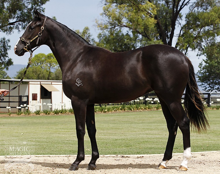 Norfleet (AUS) - photo 1