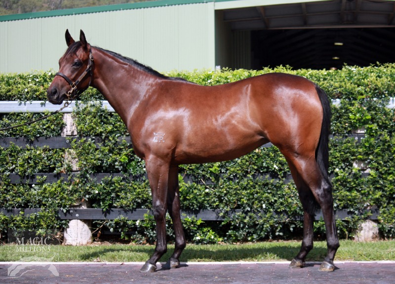 Show a Heart (AUS) / Mont Fleuri (AUS) - photo 1