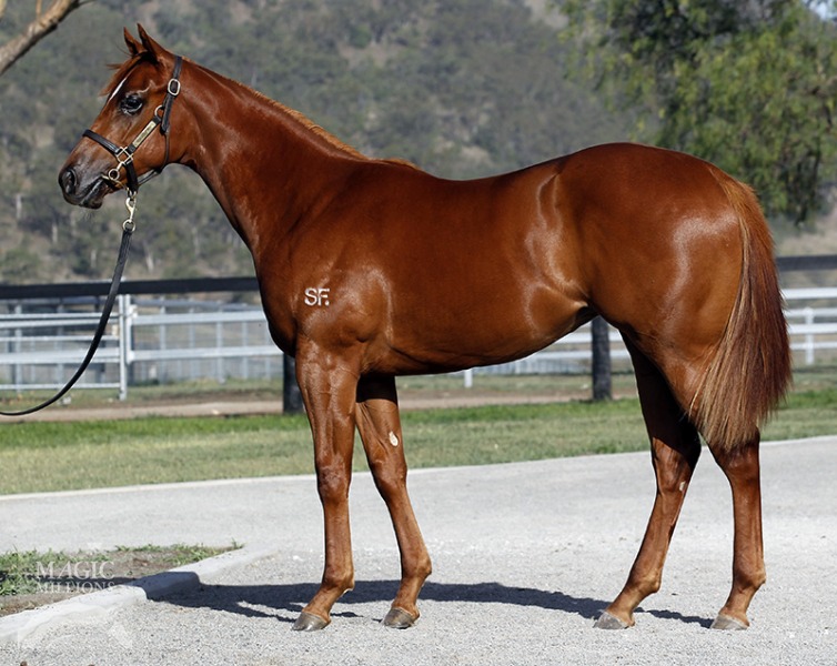 Jadedfox (AUS) - photo 1