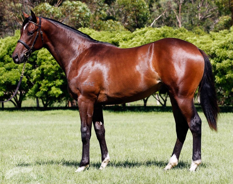 Lebron (AUS) - photo 1