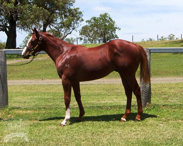 Helmet (AUS) / Ms Guacamolee (USA) - photo 1