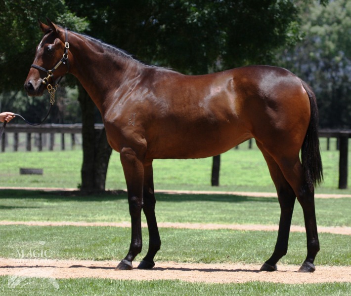 Fairlighting (AUS) - photo 1