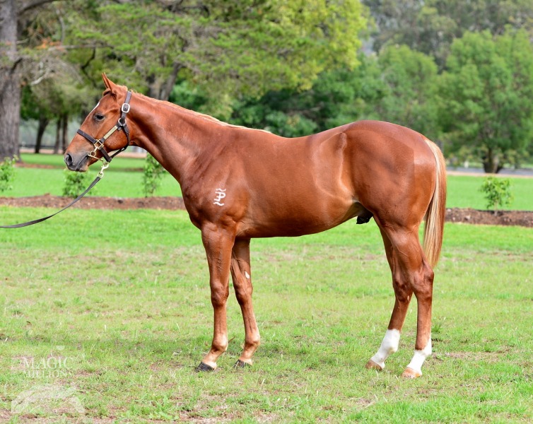 Futurist (AUS) - photo 1