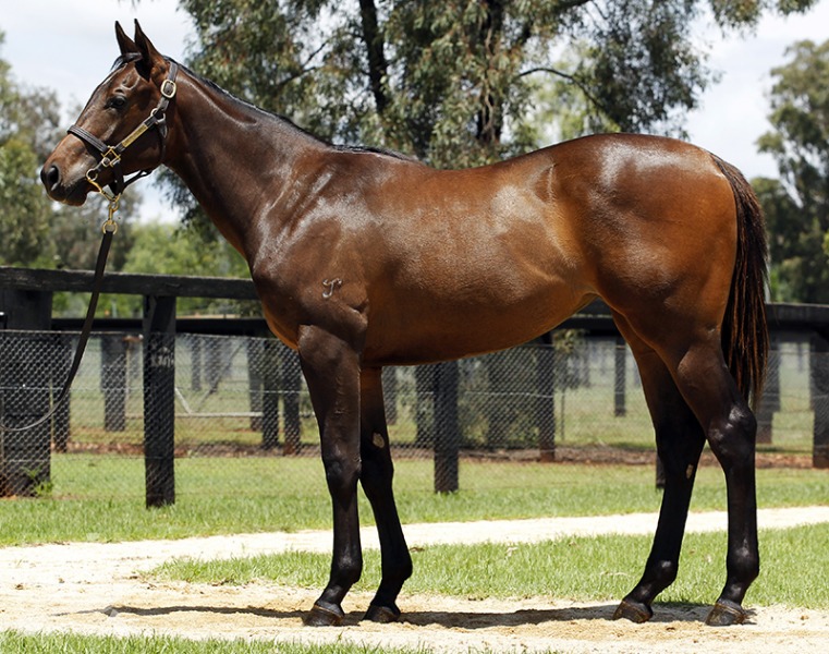 Commonwealth (AUS) - photo 1