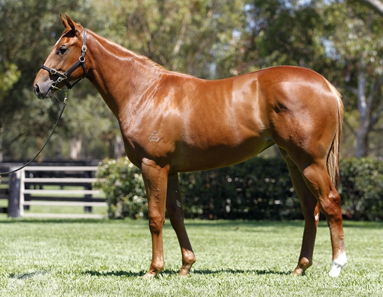 Tickling (AUS) - photo 1