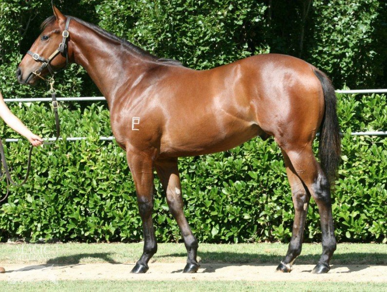 Sundance (AUS) - photo 1