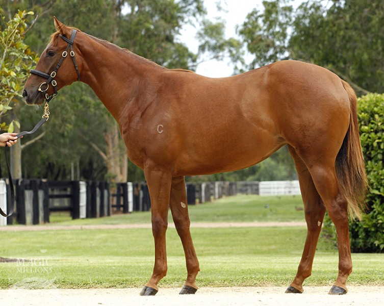 Giroux (AUS) - photo 1