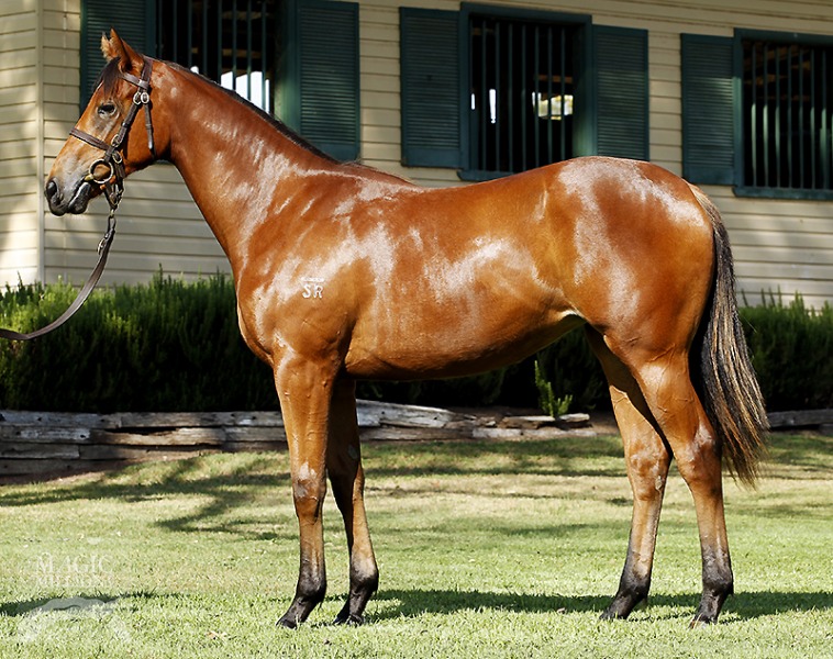 Snow Fields (AUS) - photo 1