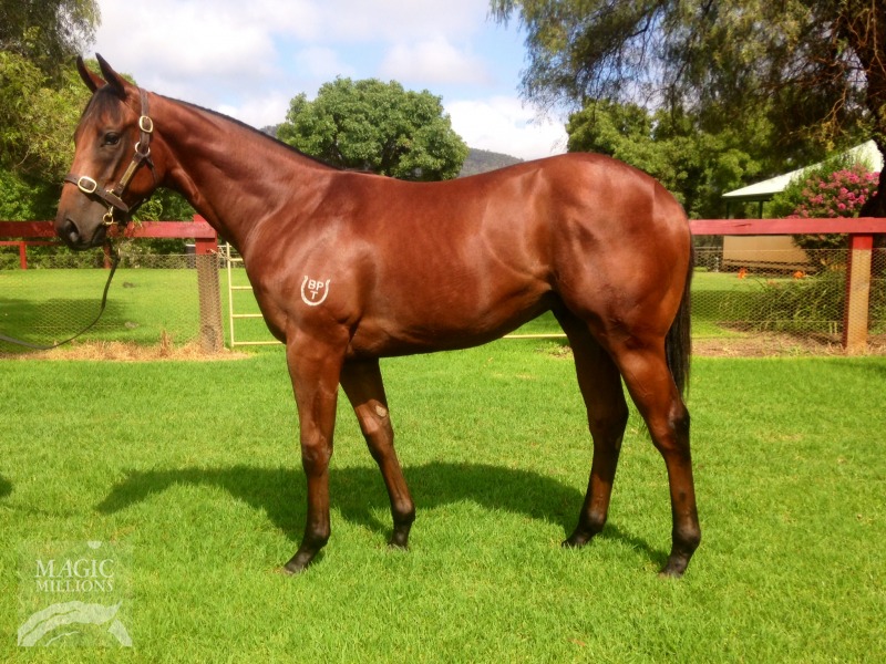 Chief Moondance (AUS) - photo 1