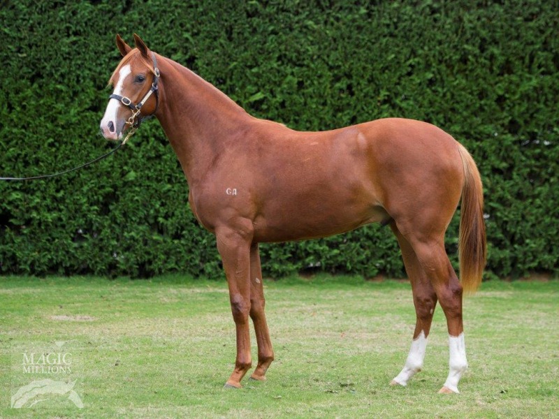 Toff Of The Town (AUS) - photo 1