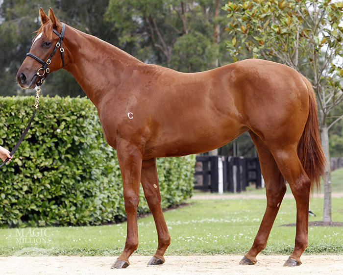 Pleasantries (AUS) - photo 1