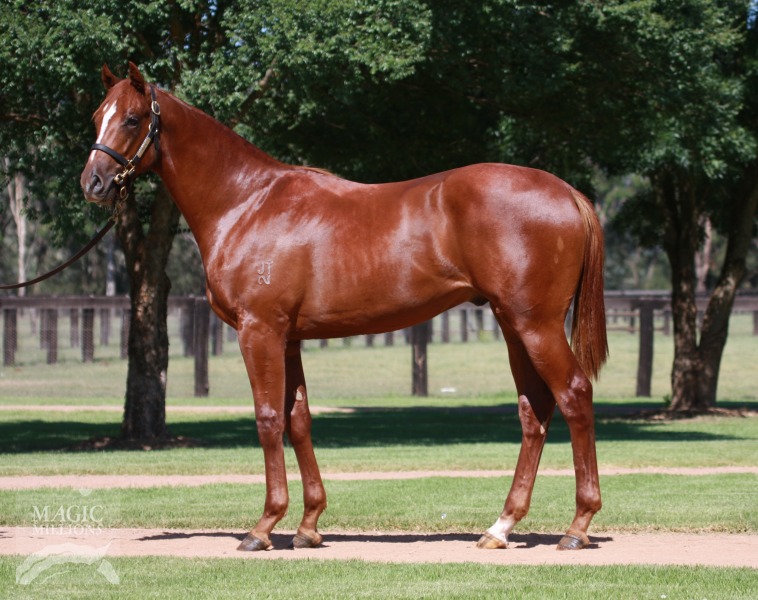 Seaburge (AUS) - photo 1