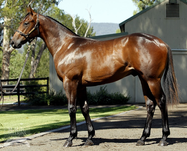 Northern Fire (AUS) - photo 1