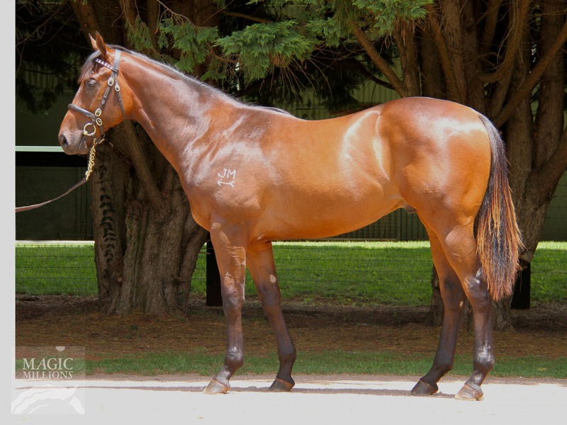 King Cleo (AUS) - photo 1