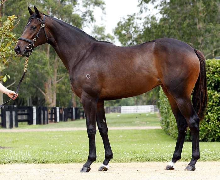 Pillara (AUS) - photo 1