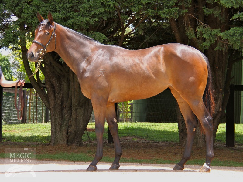 Consideration (AUS) - photo 1