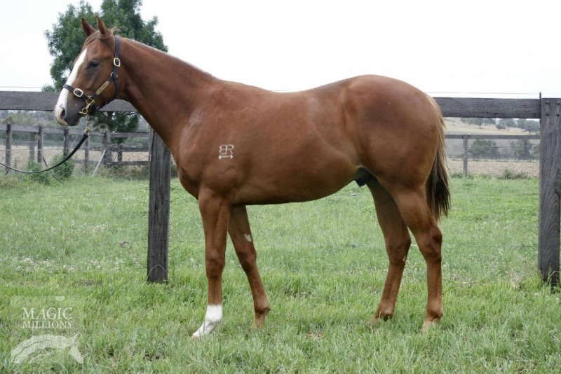 No Doubt A Star (AUS) - photo 1