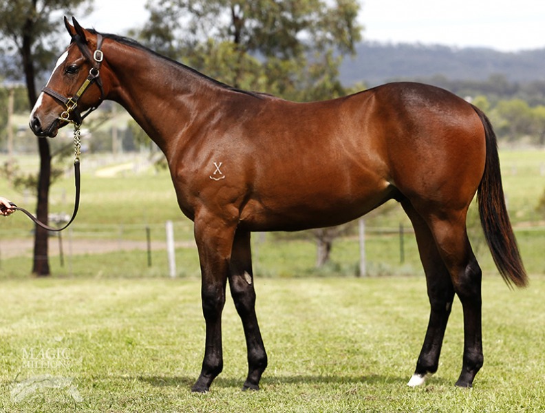 Bold Fay Fay (AUS) - photo 1