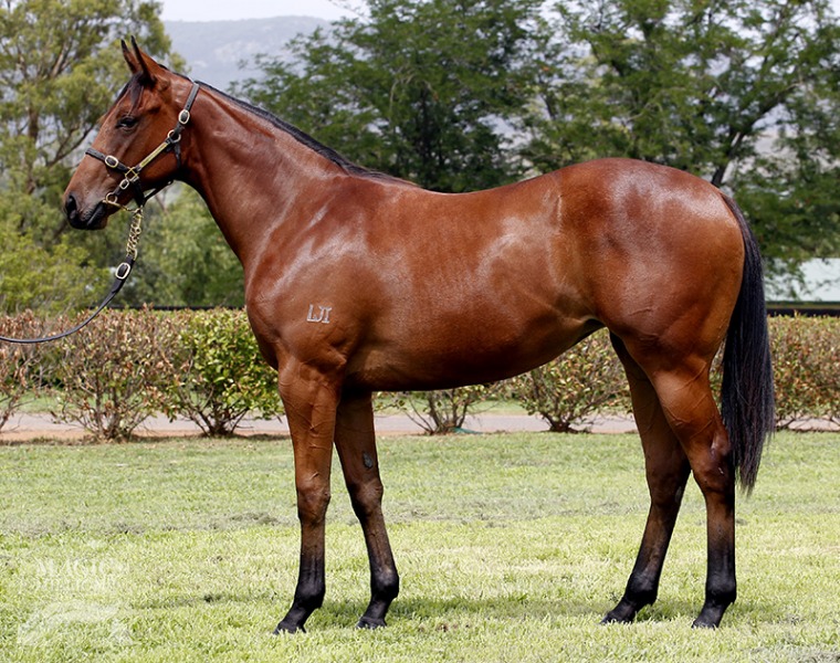 Missile Coda (AUS) - photo 1