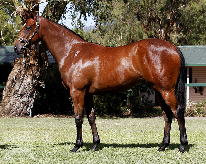 Overreactive (AUS) - photo 1