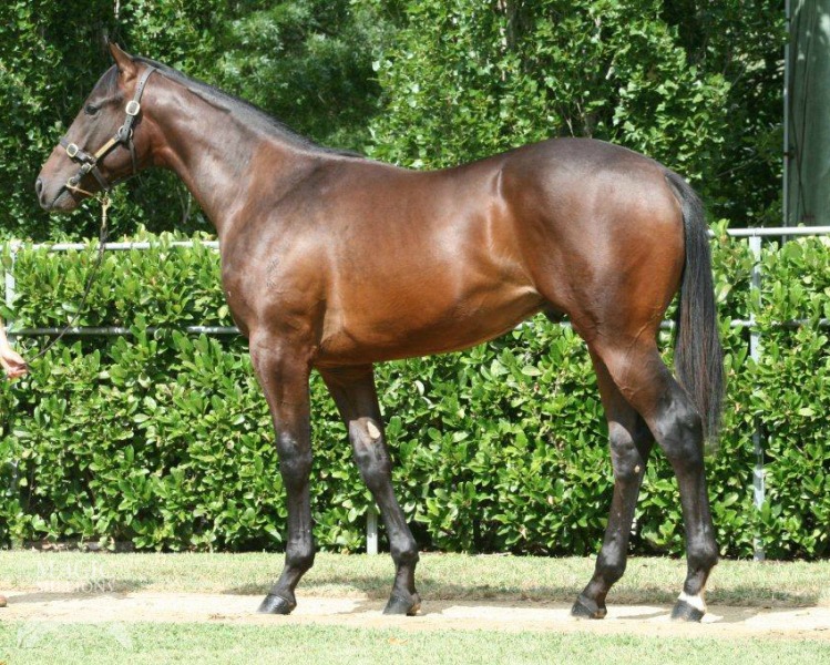 Smart Missile (AUS) / Really Flying (AUS) - photo 1