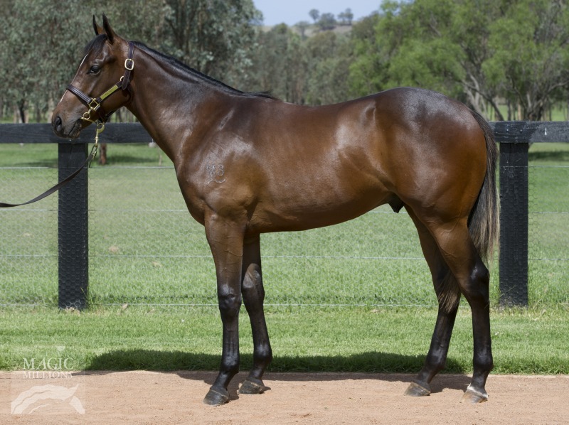 Razzoo Street (AUS) - photo 1