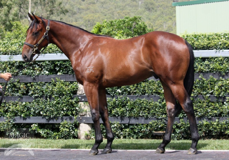 Al Minhaad (AUS) - photo 1