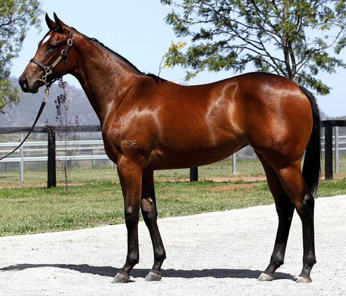 Alter Call (AUS) - photo 1