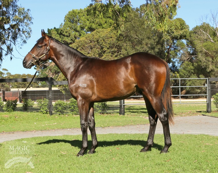 Soho Rock (AUS) - photo 1