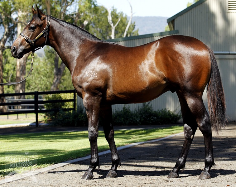 Char Char (AUS) - photo 1