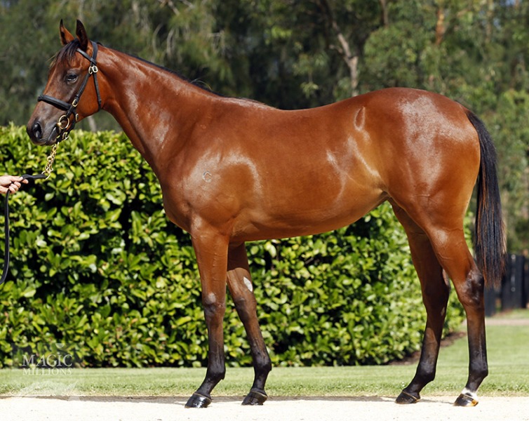 Conchita (AUS) - photo 1