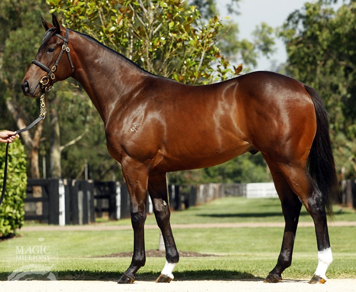 Super Suave (AUS) - photo 1