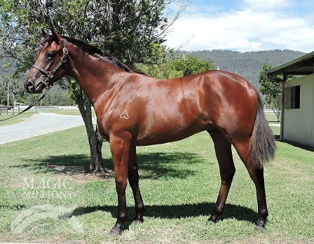 Monterey Magic (AUS) - photo 1