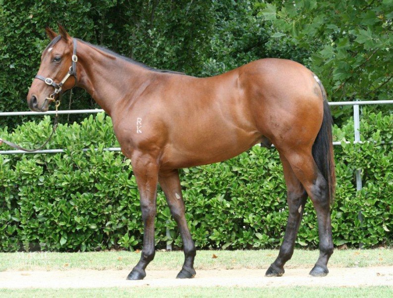 Full Face (AUS) - photo 1