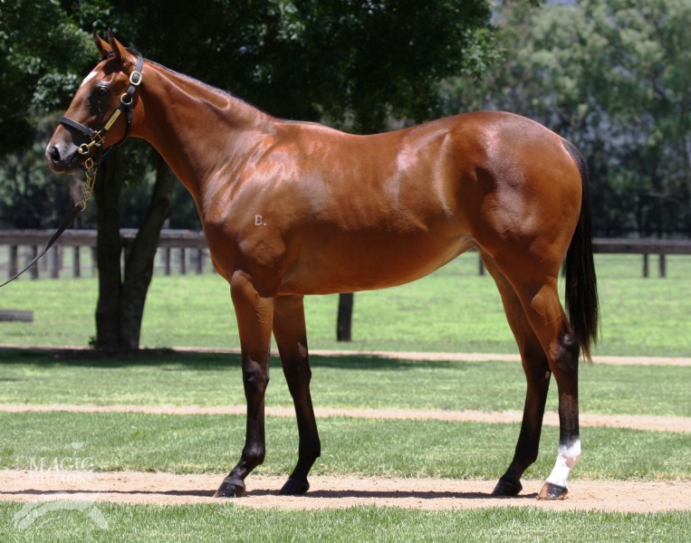 Planet's Princess (AUS) - photo 1