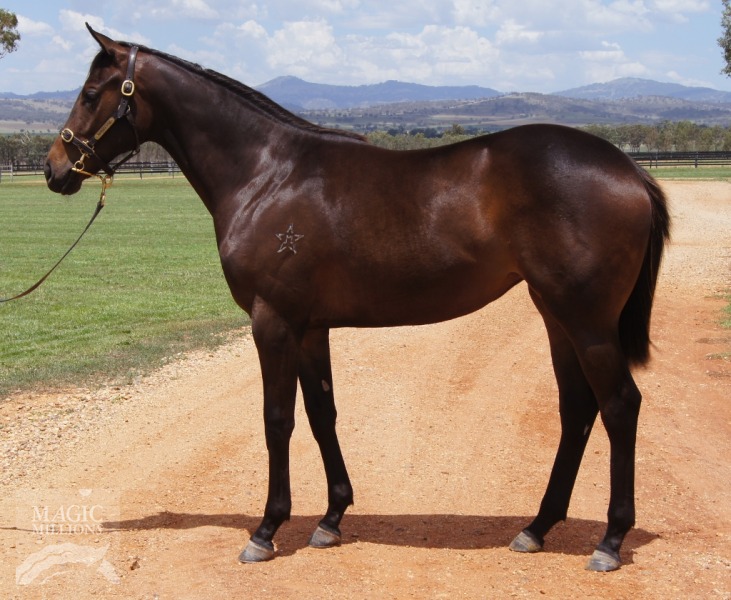 Staraday (AUS) - photo 1