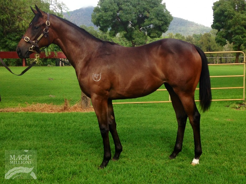 In The Vanguard (AUS) - photo 1