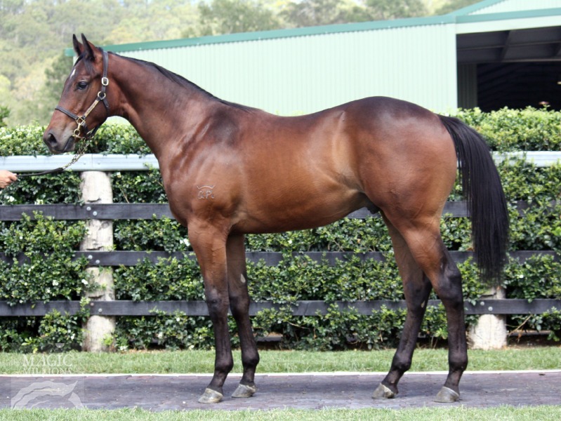 Smart Missile (AUS) / She's Meaner (AUS) - photo 1