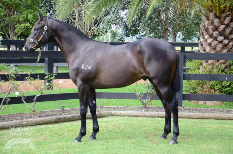 Reinforced (AUS) - photo 1