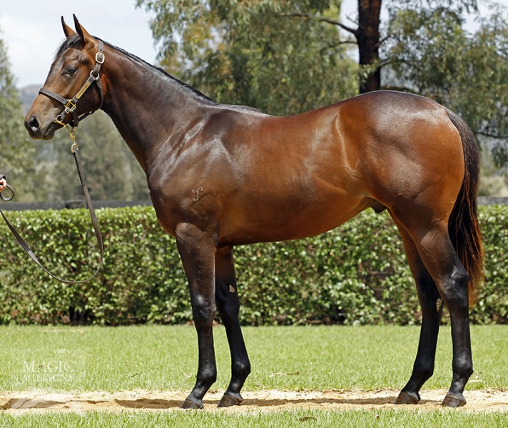 I Am Invincible (AUS) / Simply Enchanting (USA) - photo 1