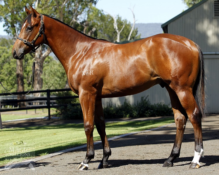 Nazareth (AUS) - photo 1