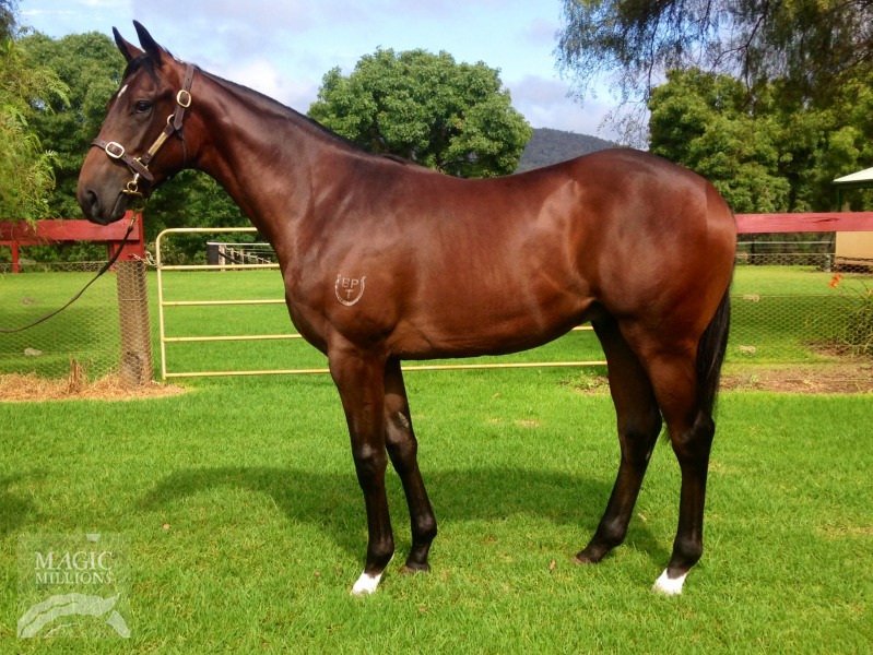 Revolver (AUS) - photo 1