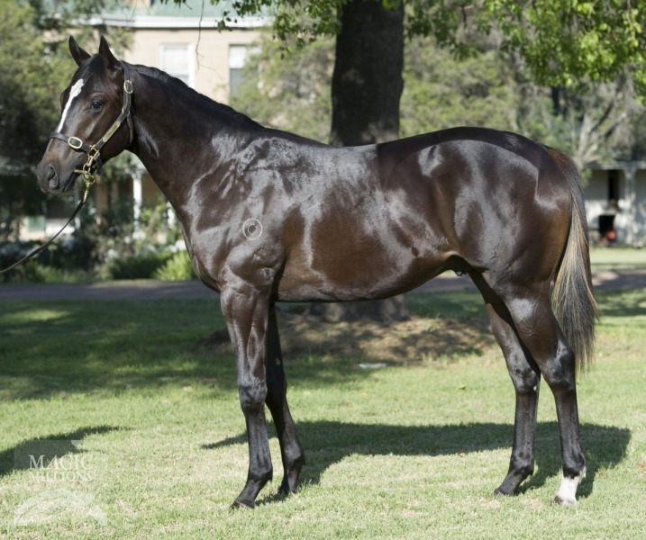 Capital Connection (AUS) - photo 1