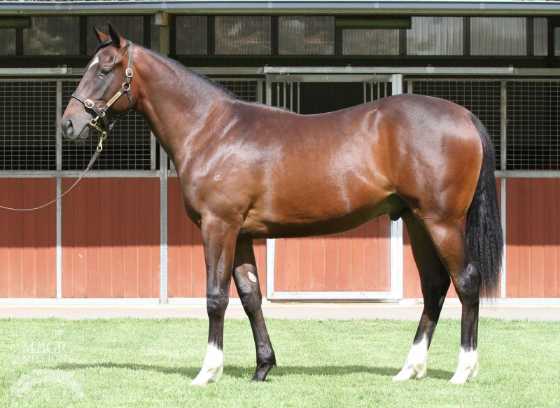 Epic Moment (AUS) - photo 1