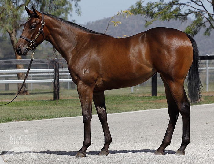 Lilac Lane (AUS) - photo 1